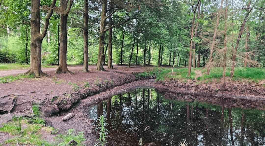 Hooge vuursche