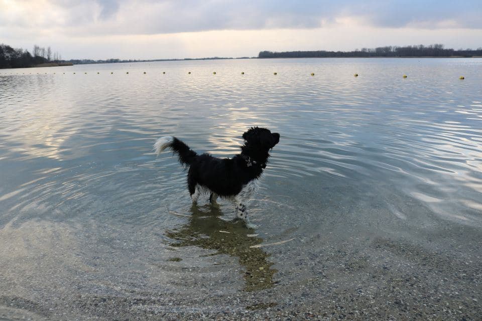 Strand Nulde Putten