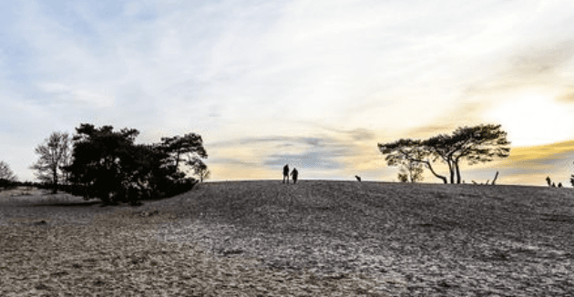 Soesterduinen2
