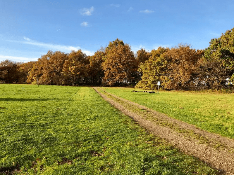 Wolfskamer te Huizen/ Naarder Eng
