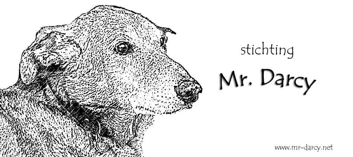 Stichting Mr. Darcy