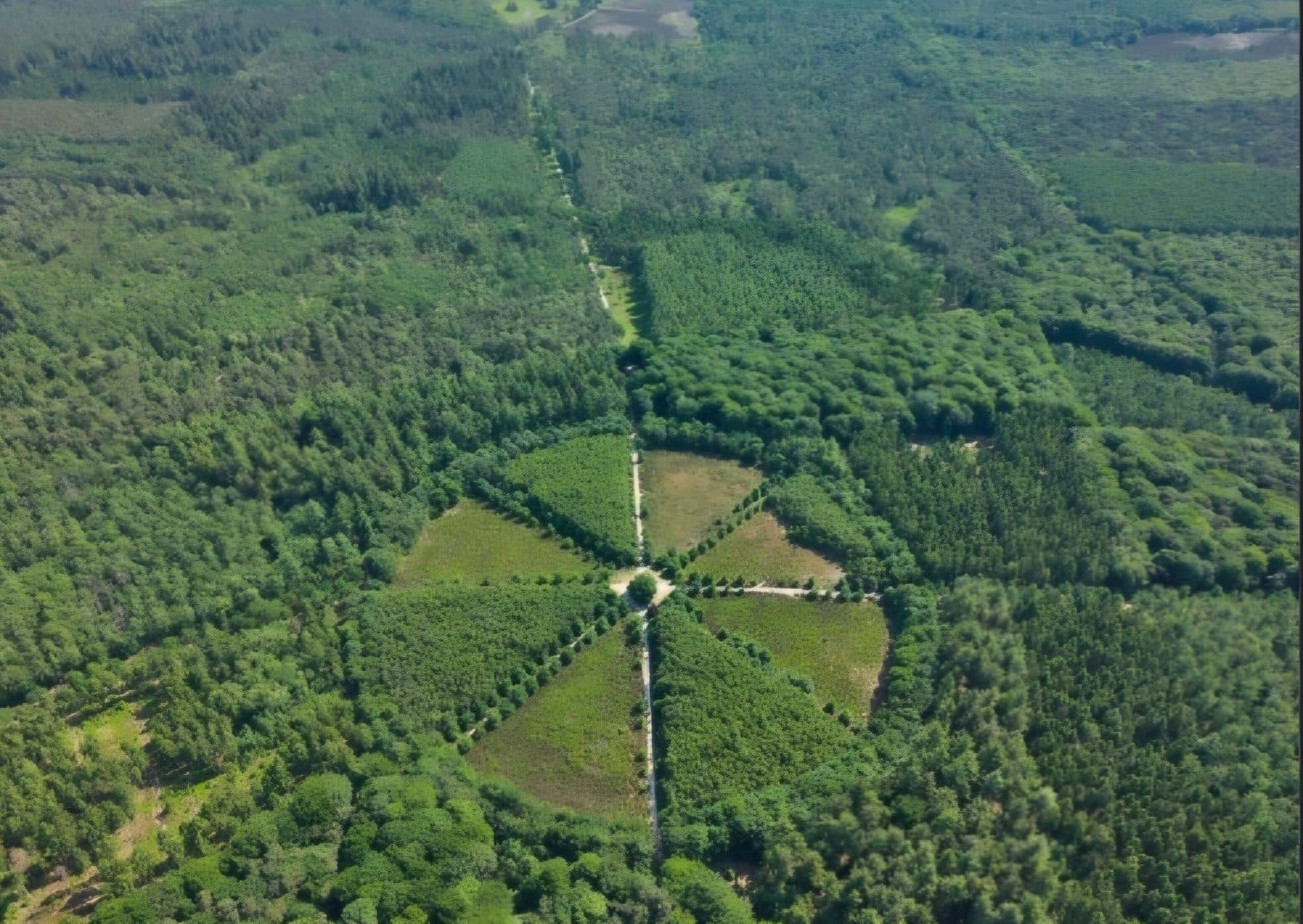 Amerongse bos