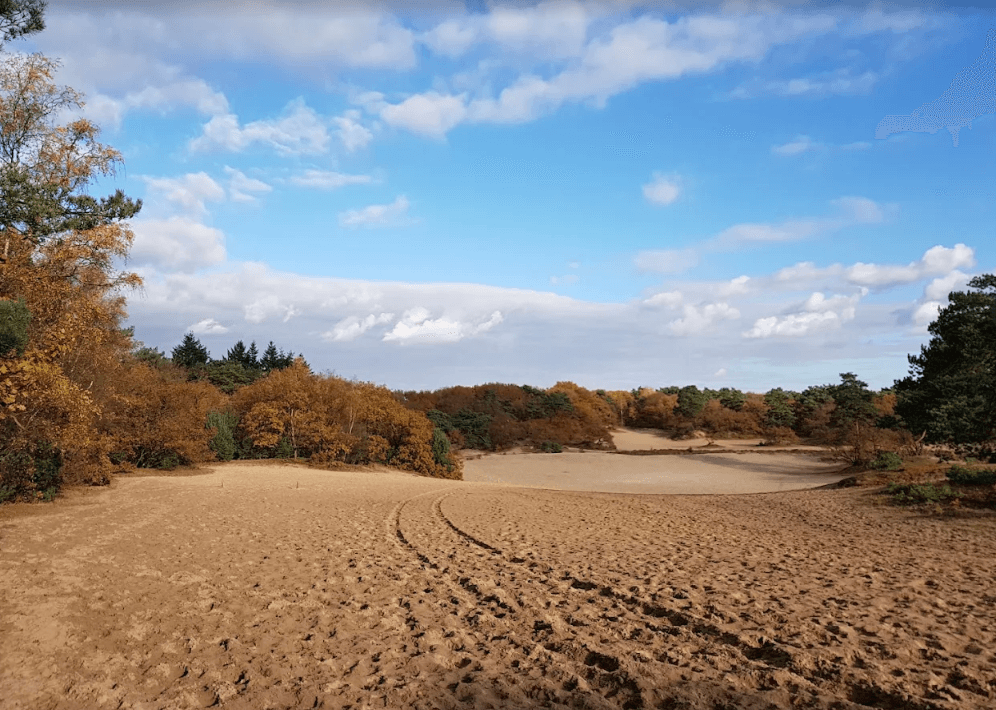 Soesterduinen