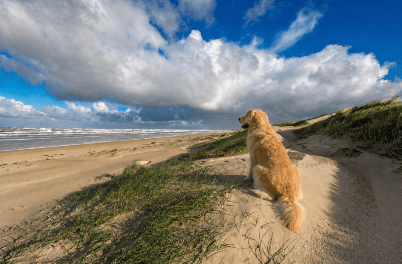 Wijk aan zee