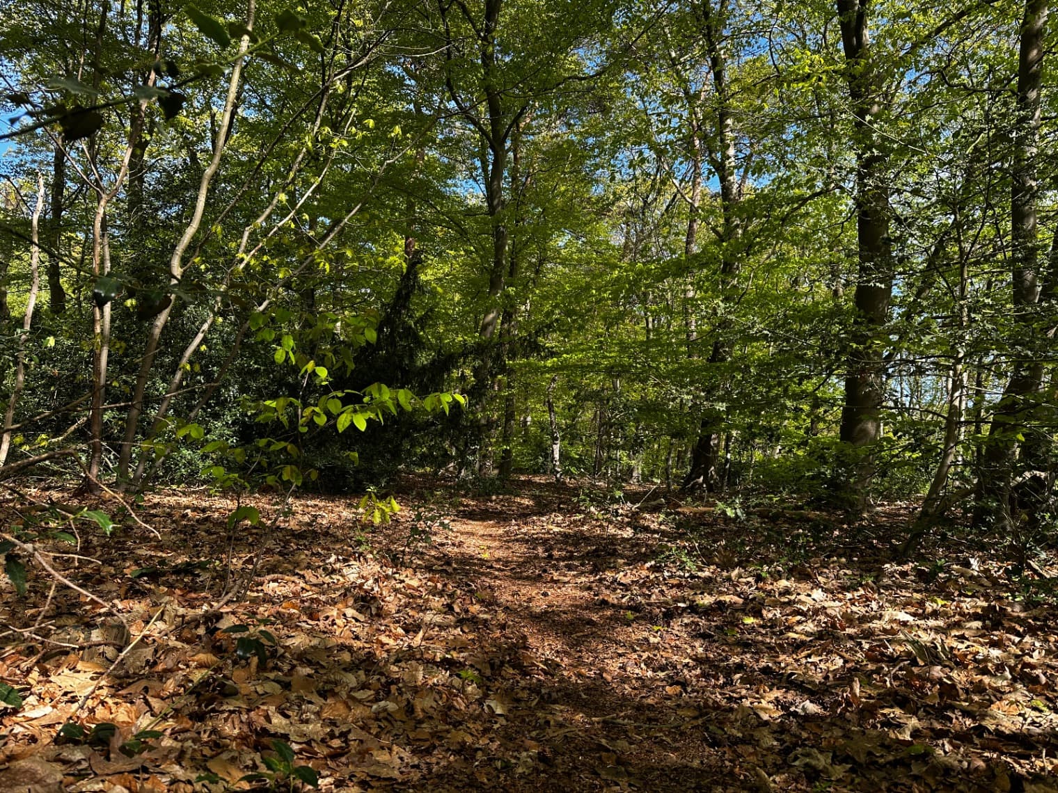 Wandelgebied Huis ter Heide