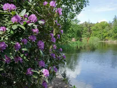 Bos Birkhoven Amersfoort