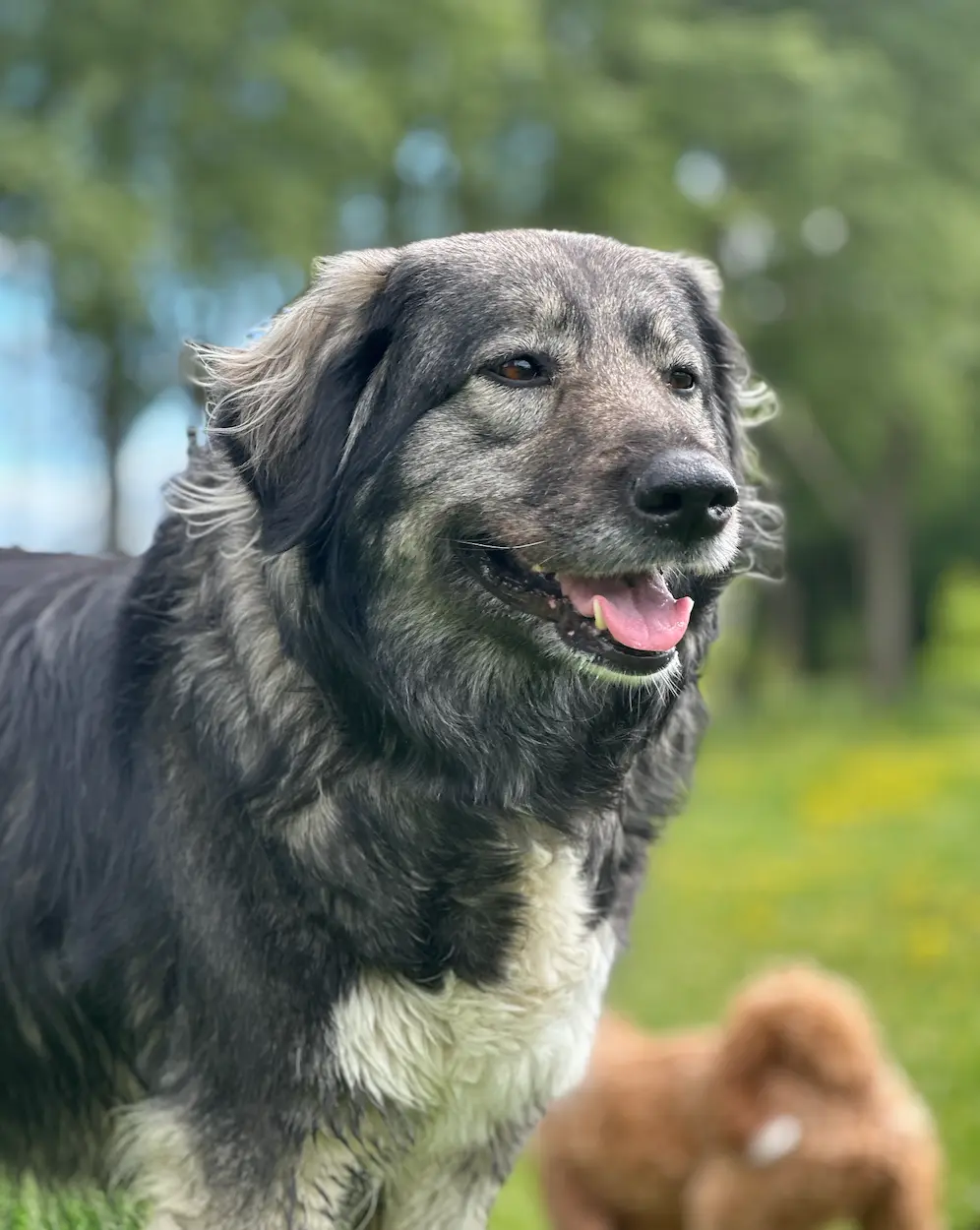 Luna