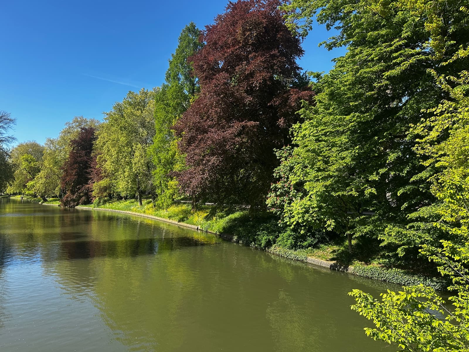Stadspark centrum Utrecht