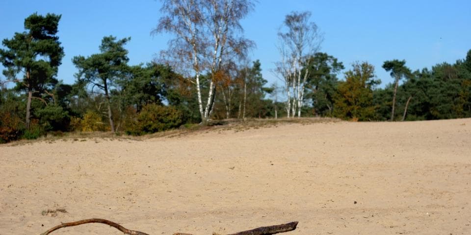 Koeheuvels