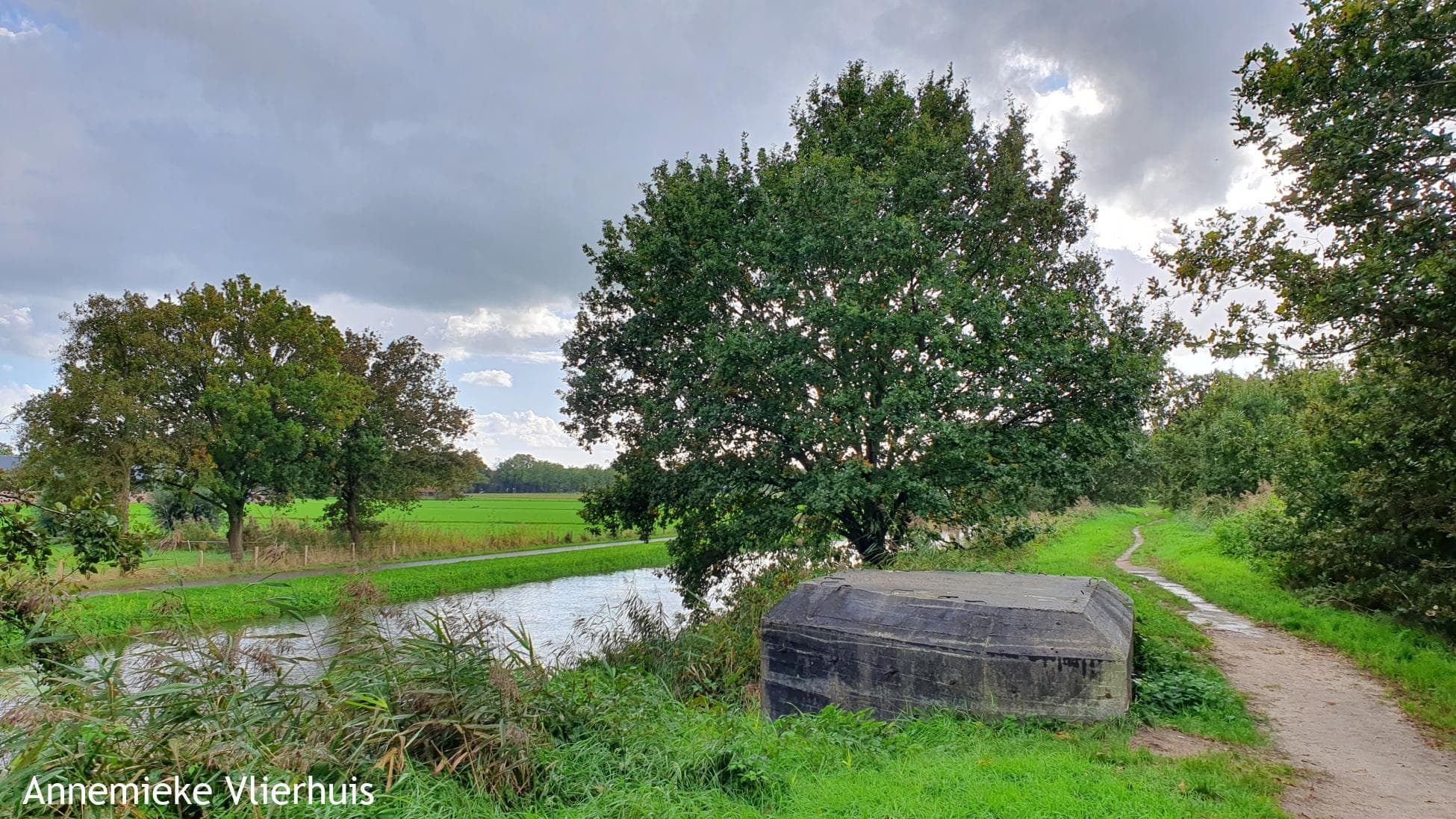Hondenlosloopgebied de Liniedijk Leusden