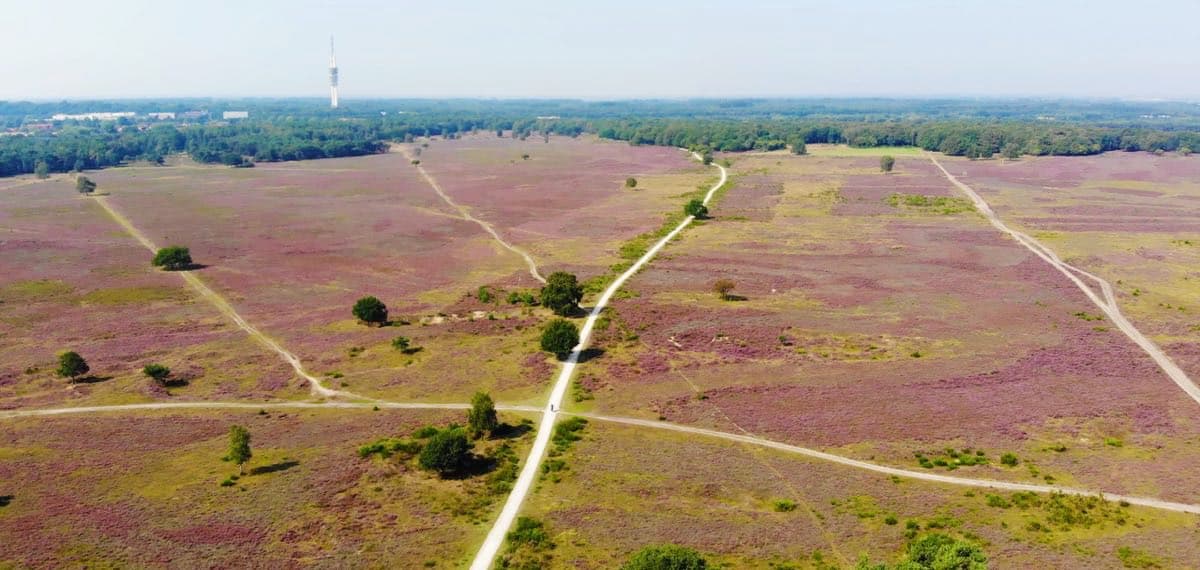 Bussemerheide