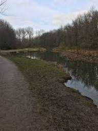 IJsselbos
