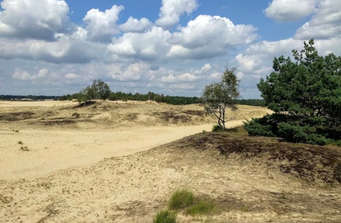 Loonse en Drunense duinen Noordwest