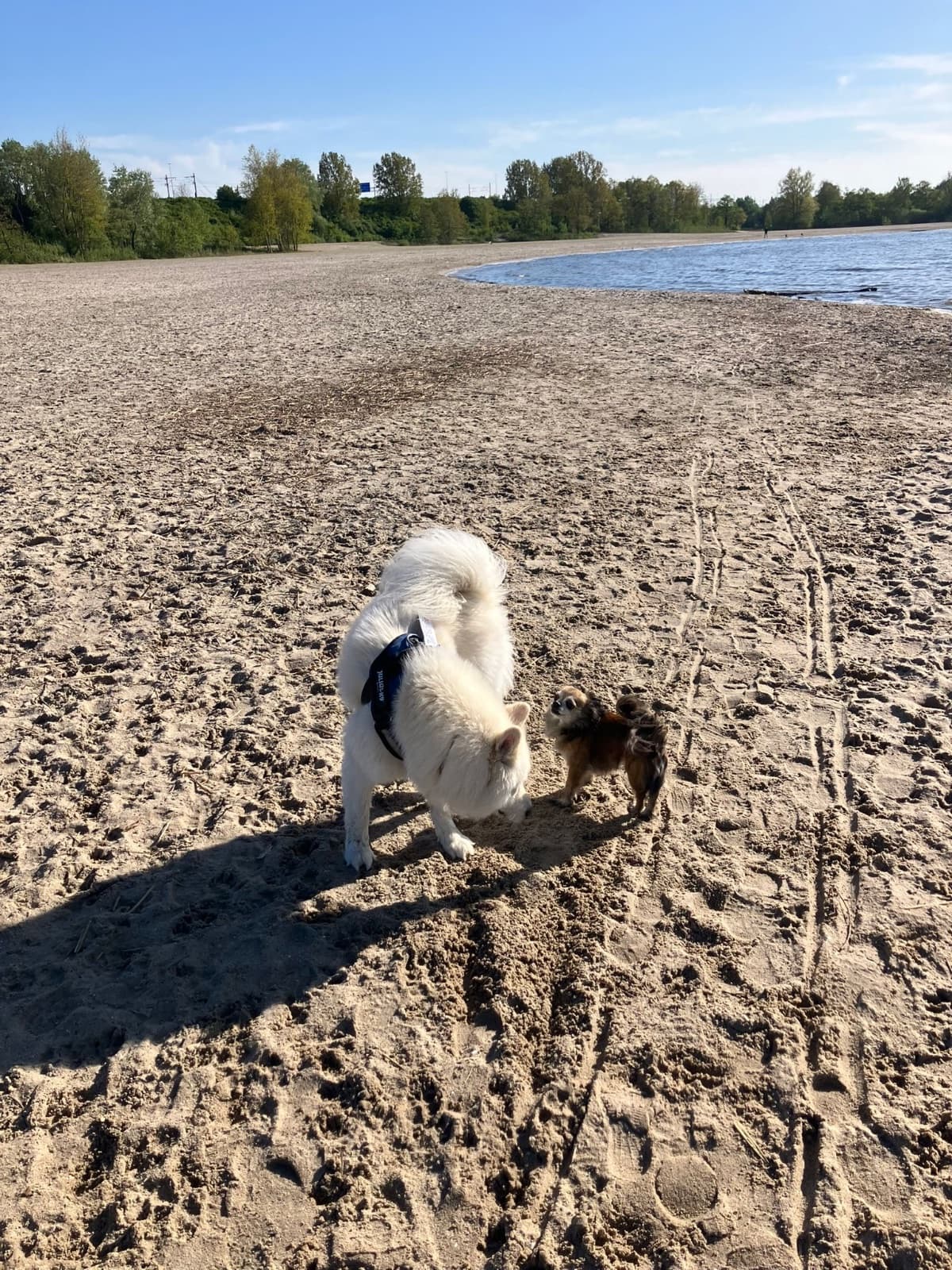 Almeerderstrand