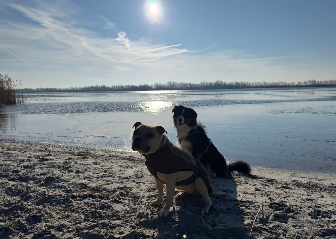 Erkermederstrand Zeewolde