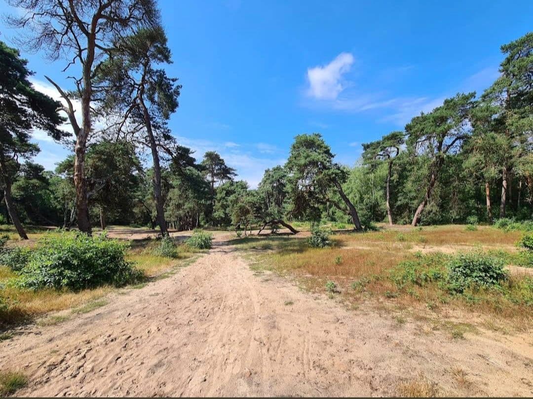 Het Paradijs Ede