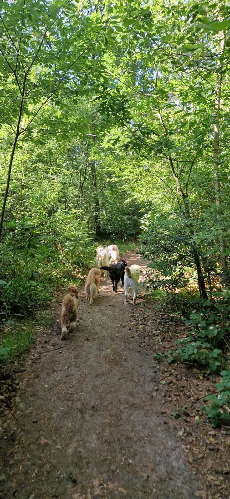 Kozakkenput Soesterberg